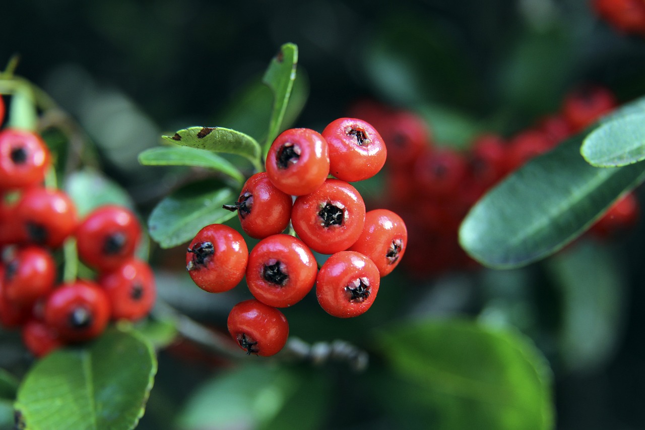 面对强敌 面对强敌