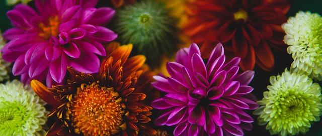 然能穩步前 然能穩步前