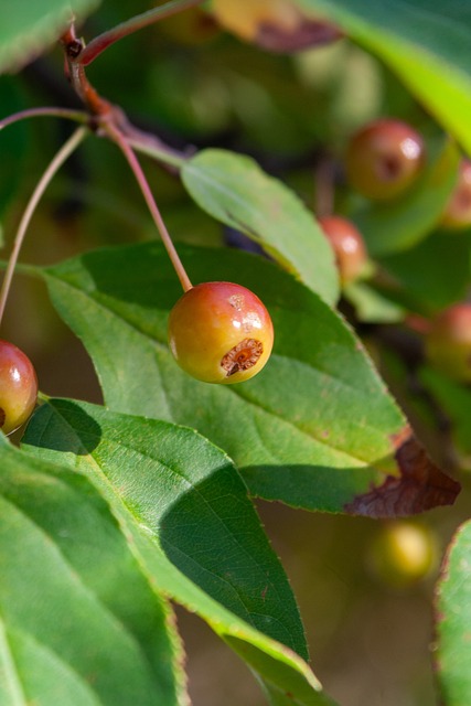 无价的资产 无价的资产