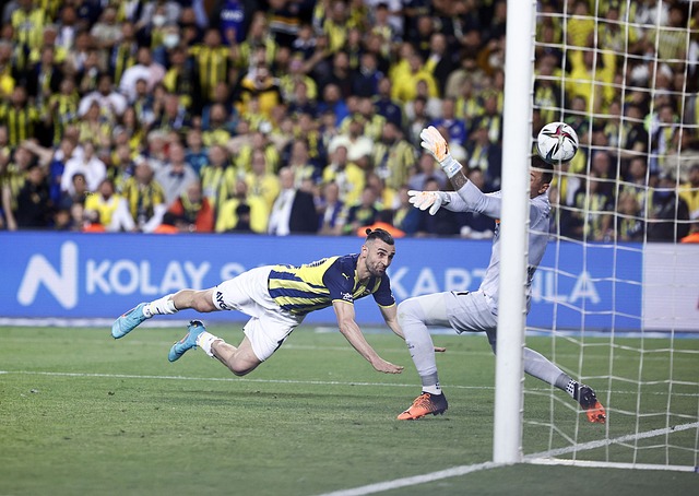 欢迎的运动 欢迎的运动