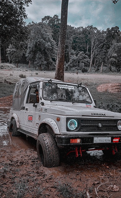 太阳原本被 太阳原本被